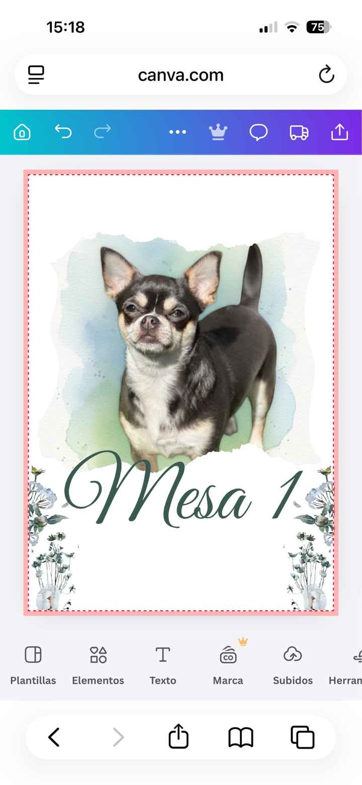 ¿Cómo hacer que nuestro perro esté presente de alguna manera? - 2