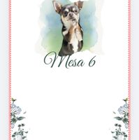 ¿Cómo hacer que nuestro perro esté presente de alguna manera? - 1