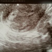 Mamis febrero 2016 - 1