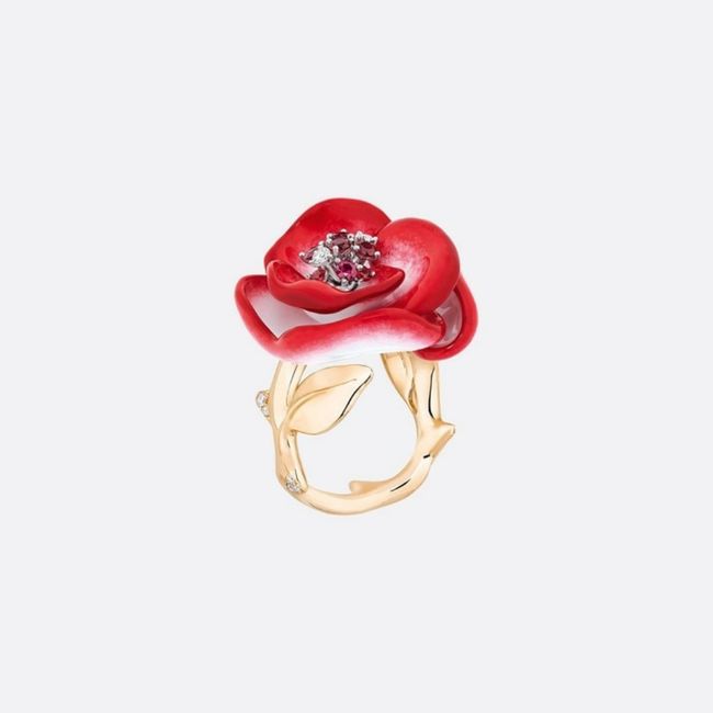 Joyas red!¡ 6