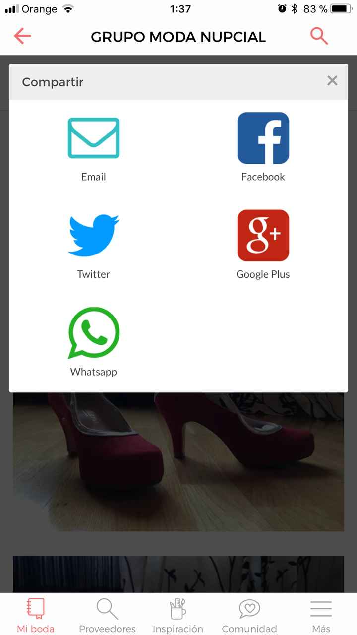  No puedo copiar url debate desde iphone - 1