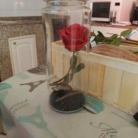 Rosa eterna en cupula diy! - 1