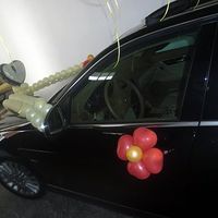 Coche novia