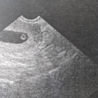 Mamas Marzo 2020 - 1