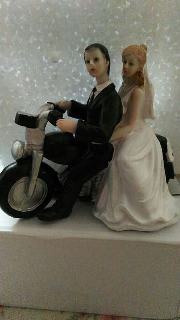 Novios gatunos - 1