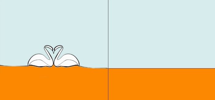 cisne