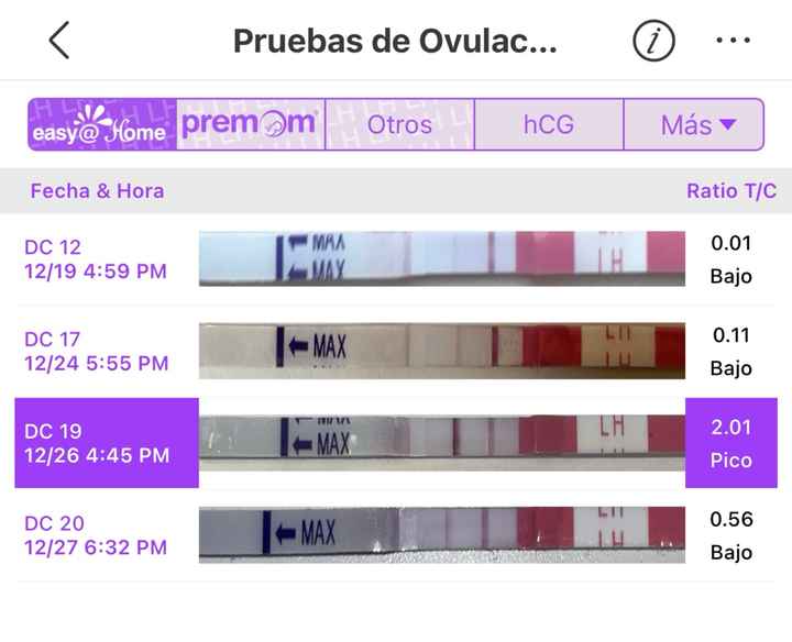 Buscadoras Enero 👑🥐👑🥐👑🥐 - 1