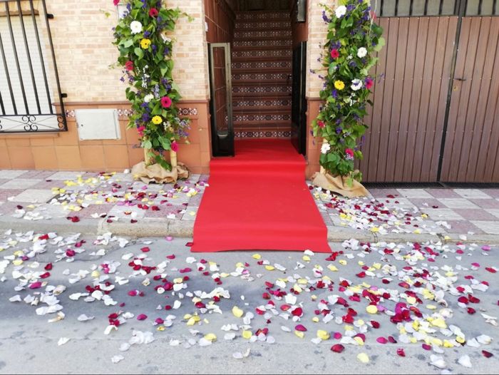 presupuestos Floristerías 10