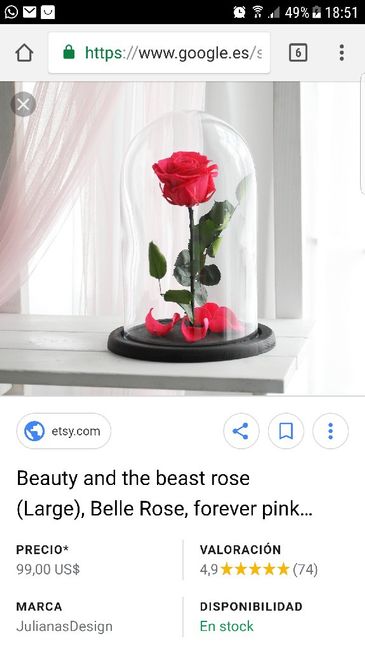  Roasa Bella y bestia - 1