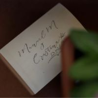 Inspiración para Detalles de Boda (no invitados) - 6