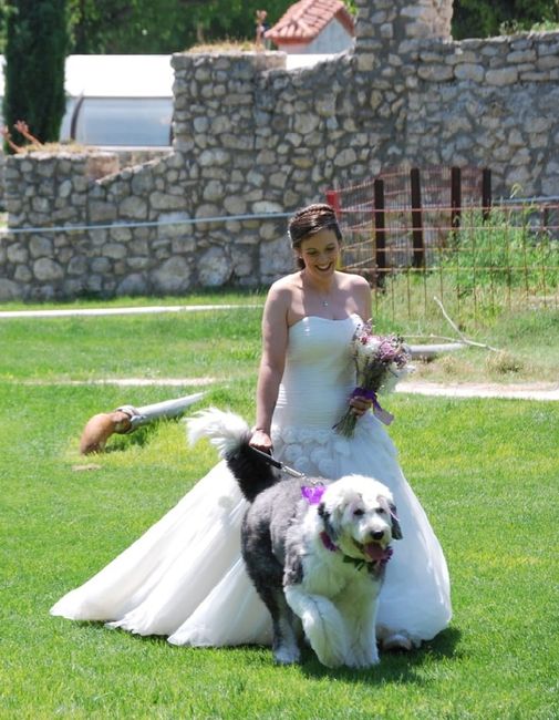 ¿Mascotas en la boda? - 1