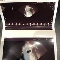 Futuras mamas octubre 2020 - 1