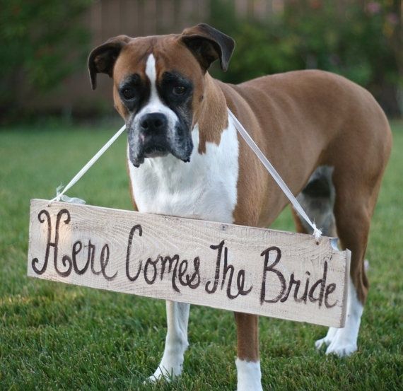 Aquí llega la novia!