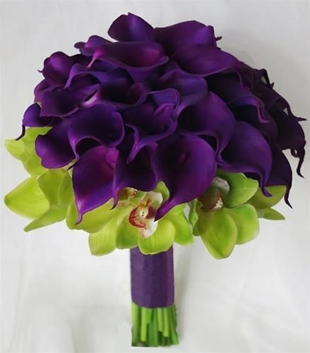 Calas moradas
