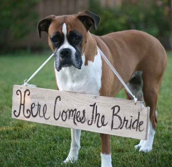 Aquí llega la novia!