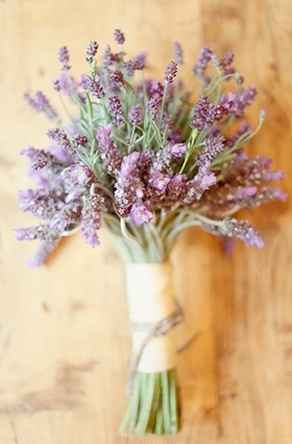 I love Lavender