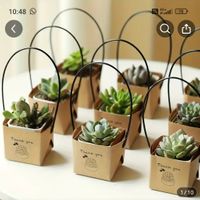 Reparto de recuerdos ¿cuántos? ¿a quiénes? - 1