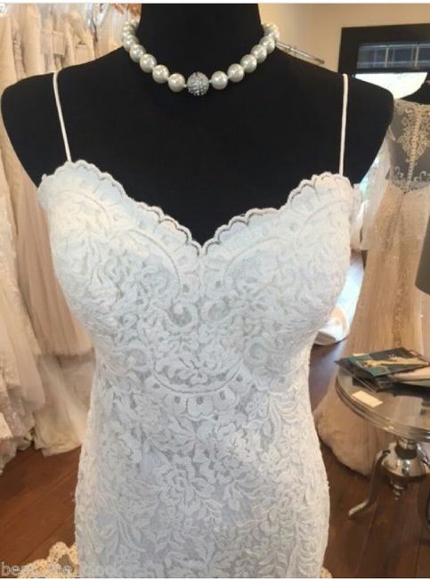 Mi vestido - 2