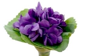 Ramo Violetas