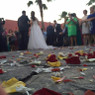 Novia