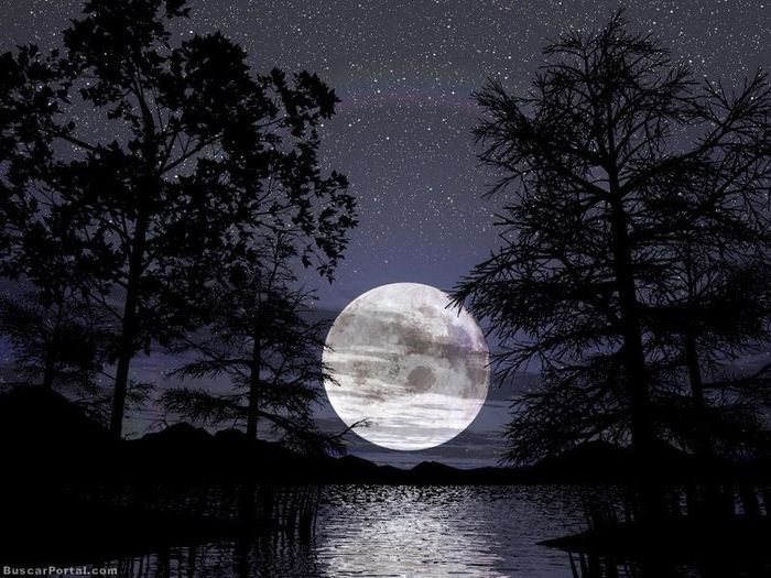 noche de luna