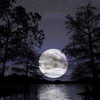 noche de luna