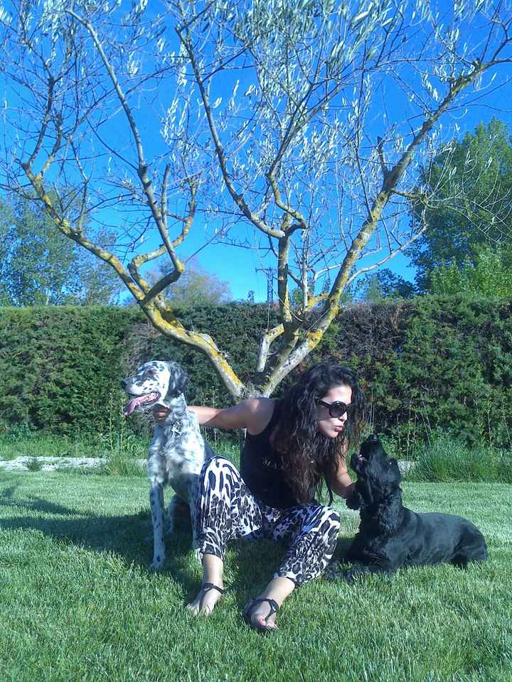 Mis perrines :)