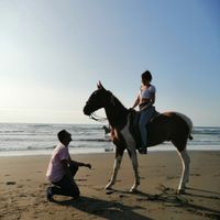 ¿Tu pareja se arrodilló para pedirte matrimonio? - 1