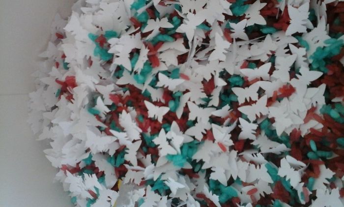 Arroz de colores y conferi