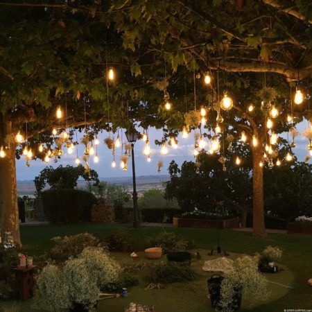 Alquiler de luces de decoración 2