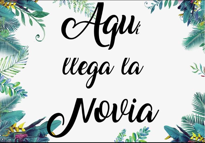 Modelo 5