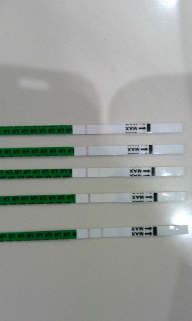 Resuelvo dudas sobre los to (test de ovulacion) - 1