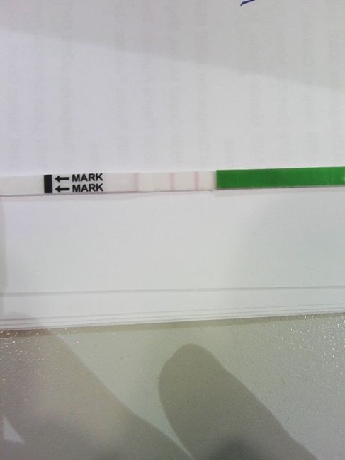 Resuelvo dudas sobre los to (test de ovulacion) - 2