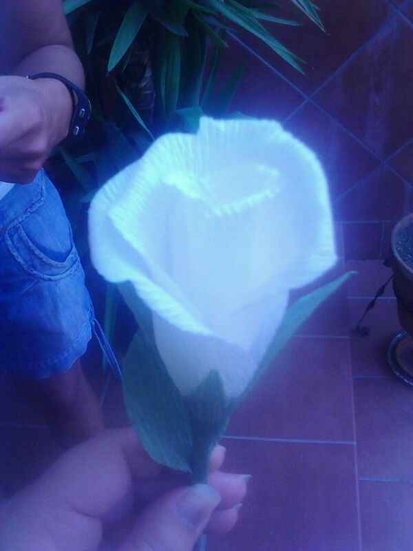 ROSA BLANCA