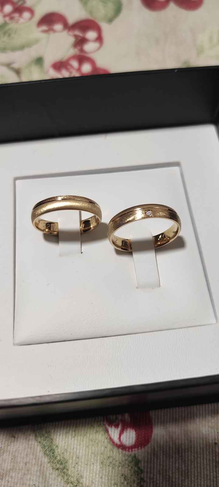 Ya tenemos nuestras alianzas - 1
