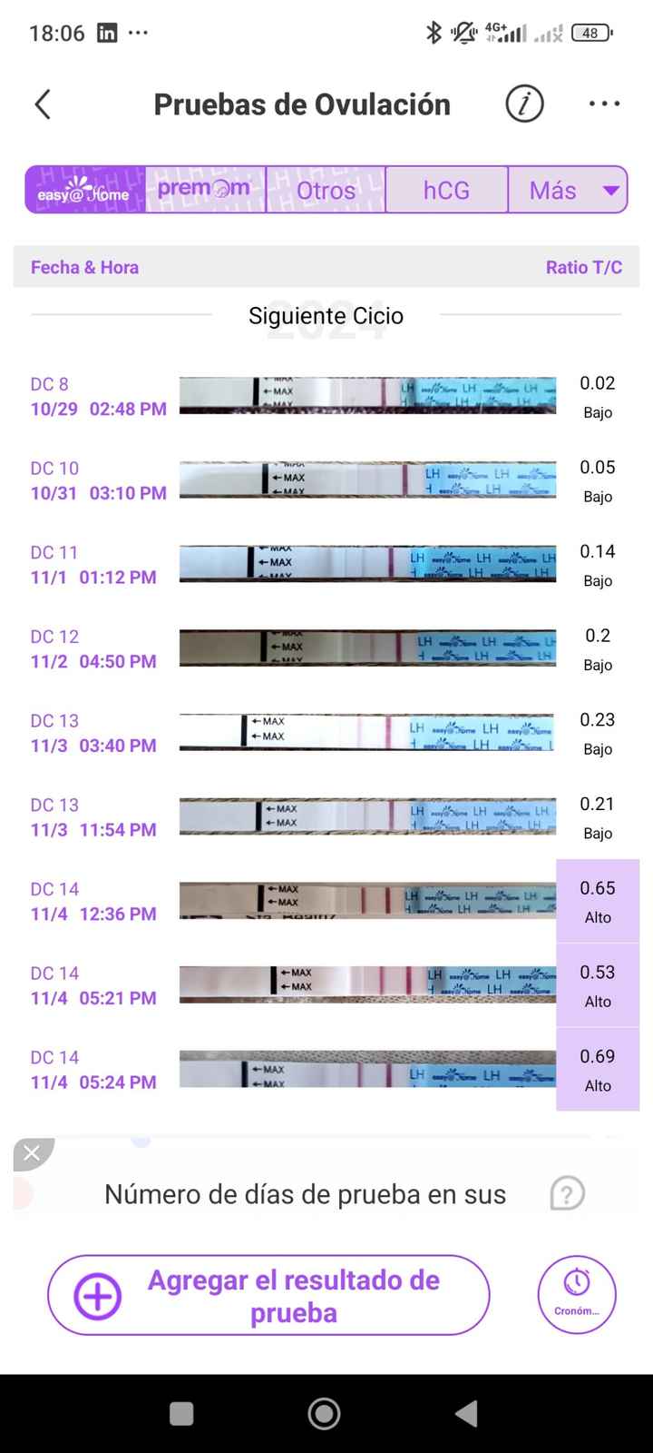 Buscadoras Noviembre 2024 🐣 - 1
