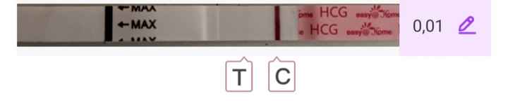 Buscadoras Noviembre 2024 🐣 - 1