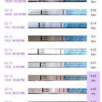 Buscadoras Noviembre 2024 🐣 - 1
