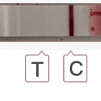 Buscadoras Noviembre 2024 🐣 - 1