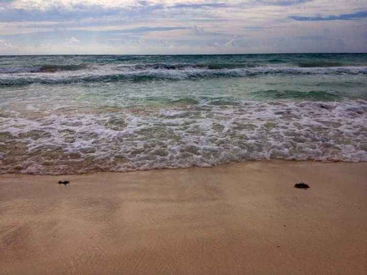 Rivera maya o los cabos? - 1