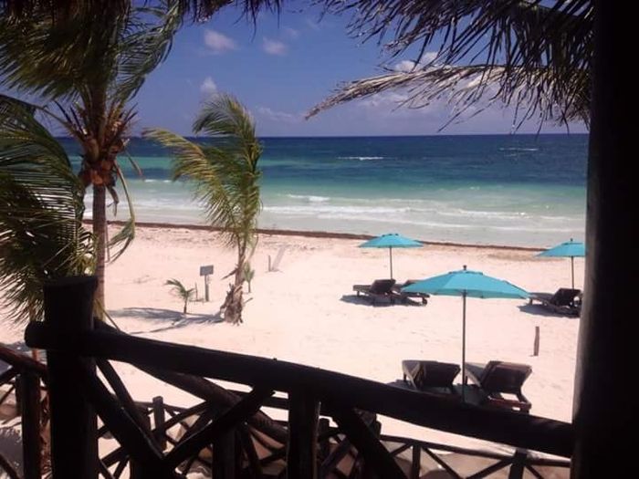 Rivera maya o los cabos? - 8