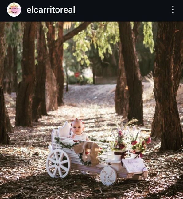 El carrito Real - 2