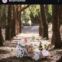 El carrito Real - 2