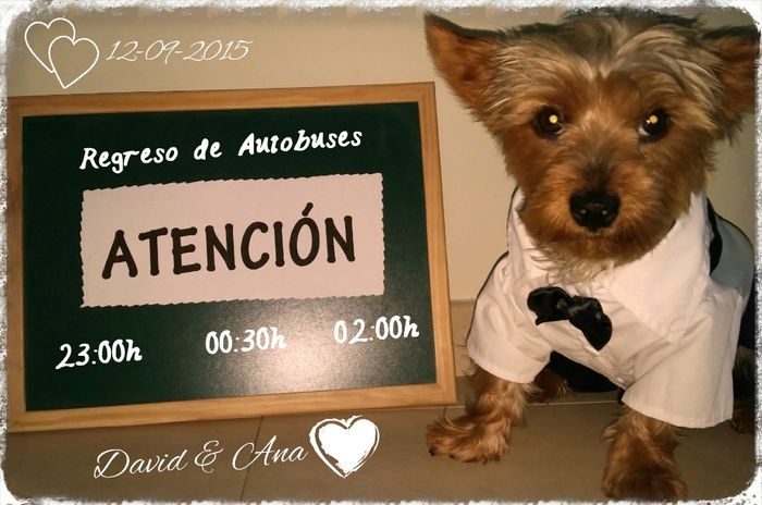 MI PEQUEÑO