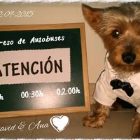 MI PEQUEÑO