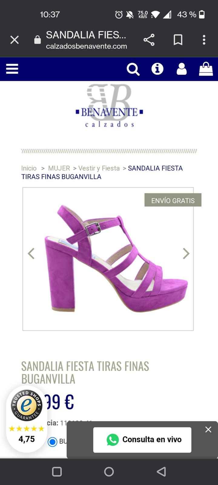 Duda con el color de zapatos para invitada. - 2