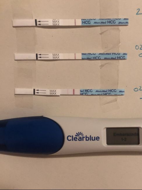 Futuras mamás Octubre 2022 🤰♥️ - 1