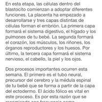 Futuras mamás Octubre 2022 🤰♥️ - 2