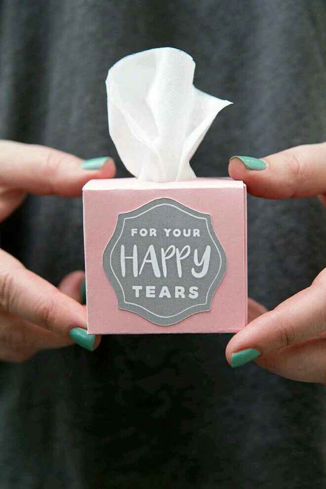 Lágrimas de felicidad - 1
