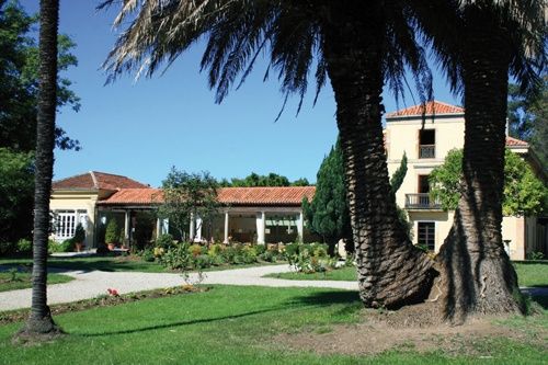 la quinta del ynfanzon de dia